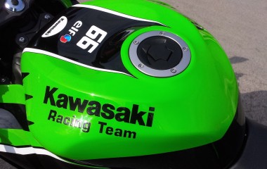 Kawasaki ZX636 WSBK Replica