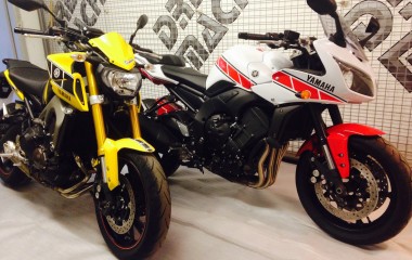 Yamaha FZ1 Red Speed Bloc